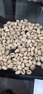 تصویر 1 از پسته کله‌ قوچی با پوست تازه و مغز سالم برای آجیل شب عید